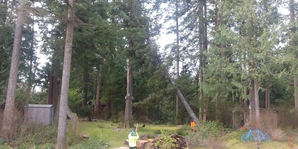 Arsenault Tree Service | 33746 Best Ave, Mission, BC V2V 6Z9, Canada | Phone: (604) 820-8842