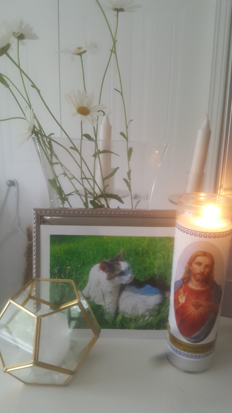 Faithful Friends Pet Memorial Services | 3636 Claxton Pl SW, Edmonton, AB T6W 2K8, Canada | Phone: (780) 707-6599