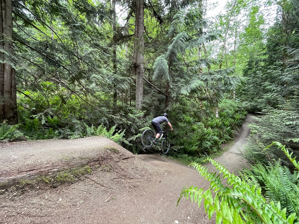 Coast Gravity Park | Sechelt, BC V0N 3A2, Canada | Phone: (604) 989-5431