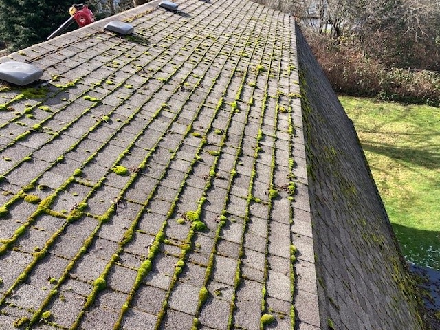 Davidson Roof Cleaning | 7827 N Island Hwy, Black Creek, BC V9J 1G8, Canada | Phone: (250) 792-0188