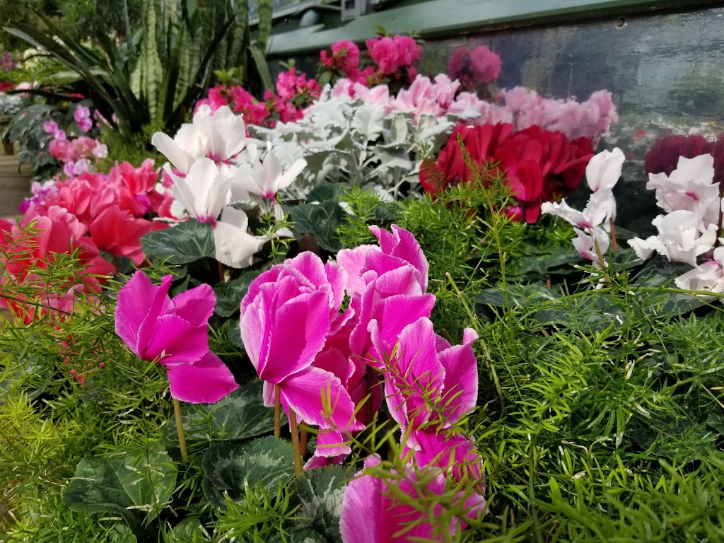 Floral Showhouse | 7145 Niagara Pkwy, Niagara Falls, ON L2E 6X8, Canada | Phone: (905) 354-1721