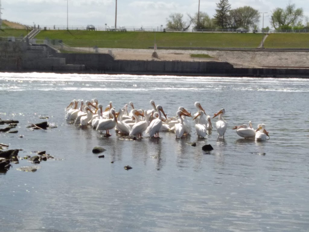 St. Andrews Lock and Dam National Historic Site | St Andrews Lock and Dam, Manitoba R1A 2R4, Canada | Phone: (204) 757-3041