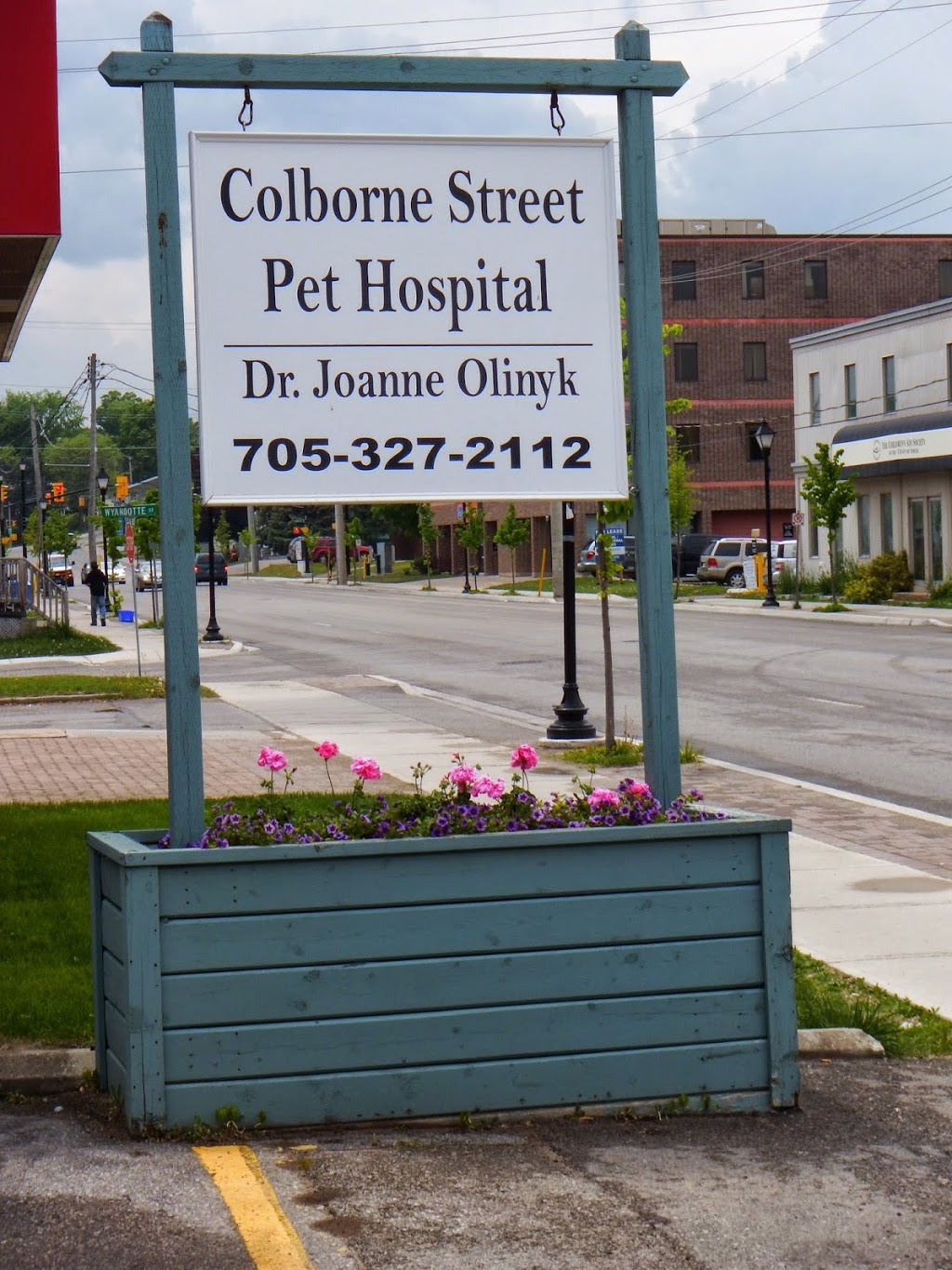 Colborne Street Pet Hospital | 77 Colborne St W, Orillia, ON L3V 2Y6, Canada | Phone: (705) 327-2112