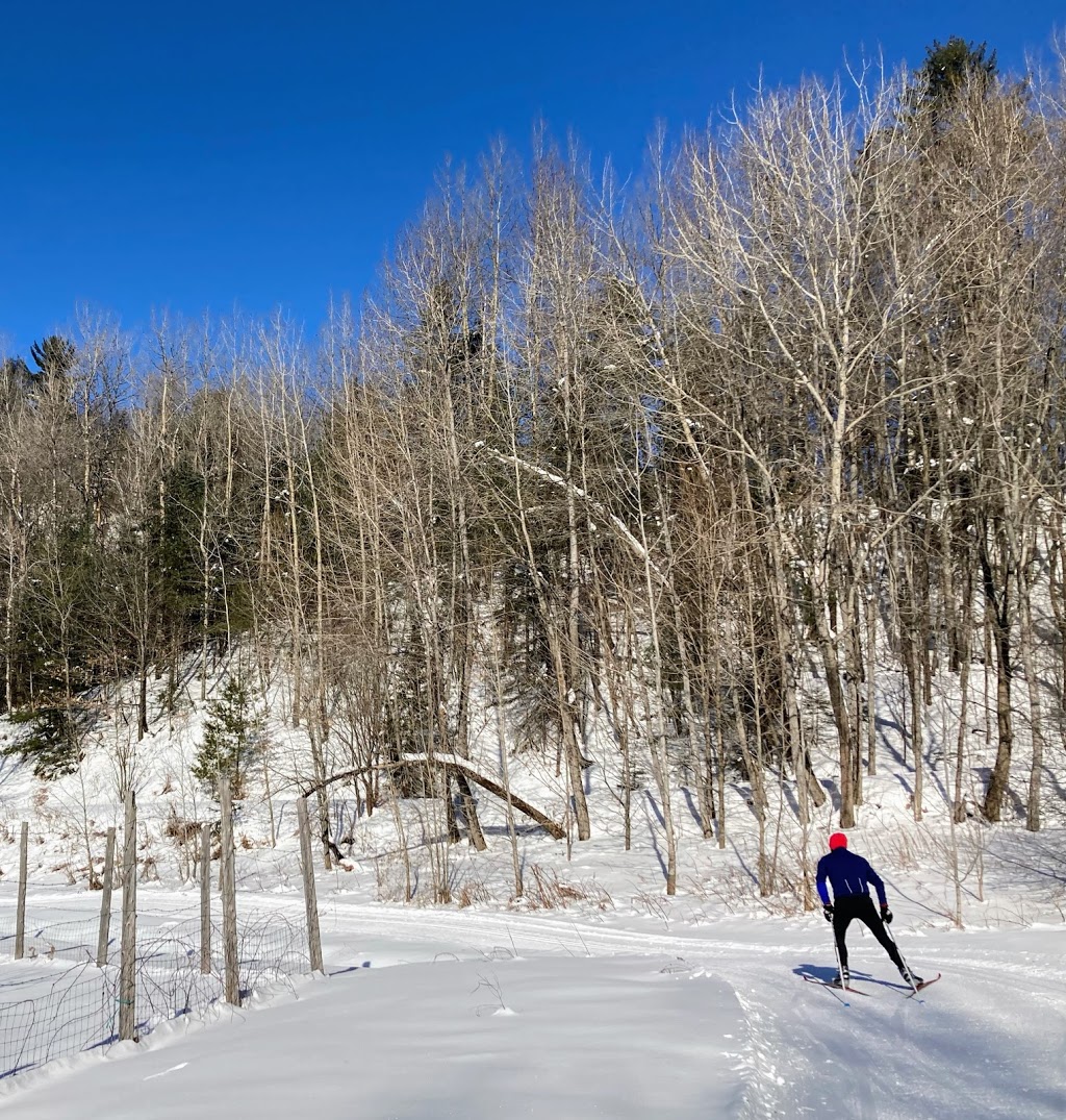 Ski Montagne coupée ski de fond raquette | 220 Chemin de la Montagne-Coupée, Saint-Jean-de-Matha, QC J0K 2S0, Canada | Phone: (450) 886-3845