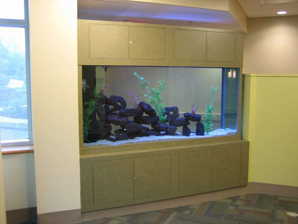 LT Aquariums | 850 Tapscott Rd Unit #8, Scarborough, ON M1X 1N4, Canada | Phone: (647) 829-8245