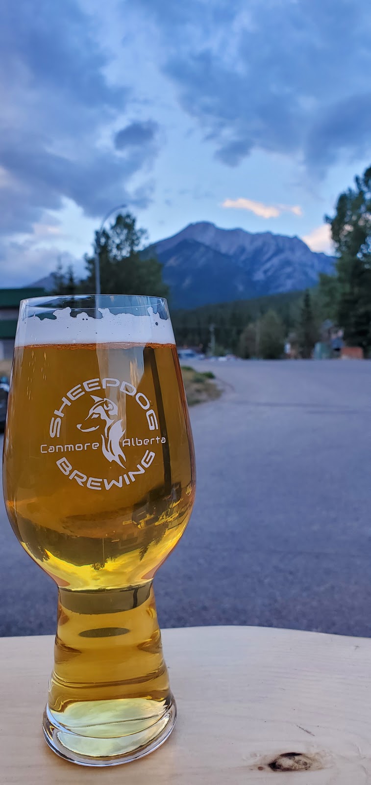 Sheepdog Brewing | 105 Bow Meadows Crescent Unit 112, Canmore, AB T1W 2W8, Canada | Phone: (403) 679-4009