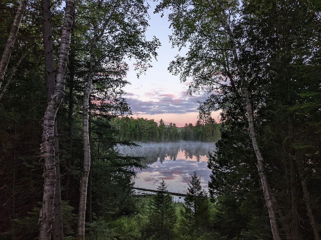 Lièvre Rouge - Refuge en forêt - Cabine - Log Cabins | 158 Chem. des 5 et 6 Rang, Lac-Saguay, QC J0W 1L0, Canada | Phone: (819) 921-0354