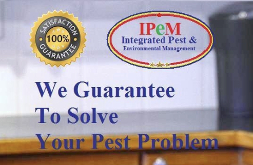 IPeM Integrated Pest & Environmental Management | 5319 3 St SE #718, Calgary, AB T2H 1J7, Canada | Phone: (587) 470-4558