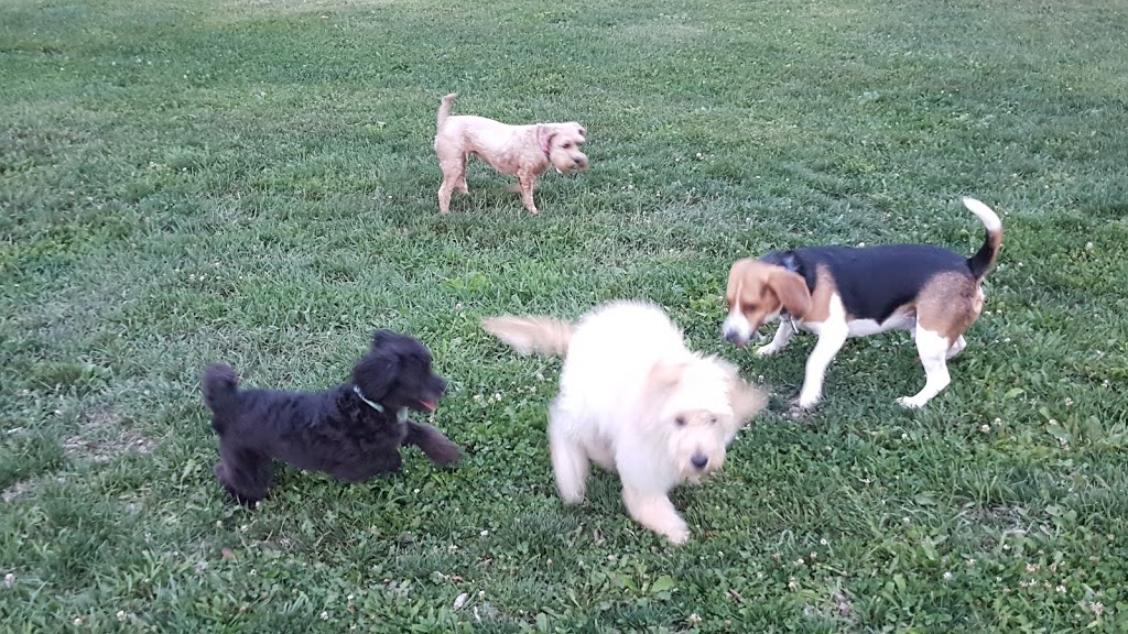 Steve McDonnell Leash Free Dog Park | 170 Lake St, Grimsby, ON L3M 5T3, Canada | Phone: (905) 945-1288