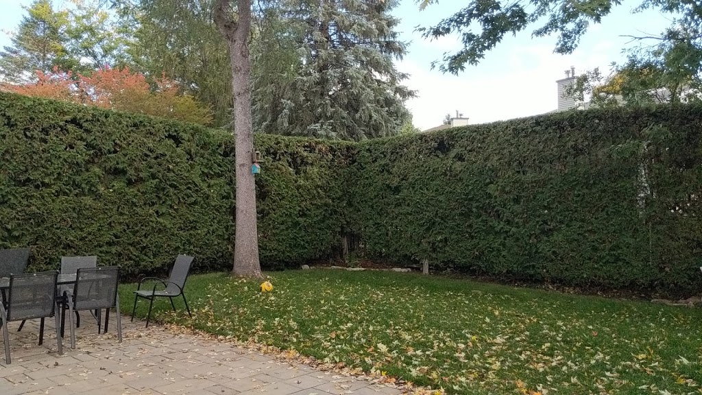 CedarSmith Hedge Trimming Kanata | 14 Binscarth Crescent, Kanata, ON K2L 1S1, Canada | Phone: (613) 851-5750