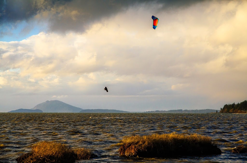 Kite Paddle Surf | 2620 N Harbor Loop Dr # 18, Bellingham, WA 98225, USA | Phone: (360) 775-2741