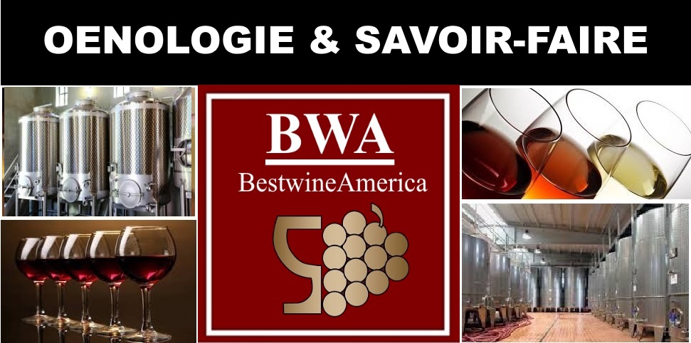 BestwineAmerica -Retail Division | 1265 Av. OBrien, Saint-Laurent, QC H4L 3W1, Canada | Phone: (514) 747-3533