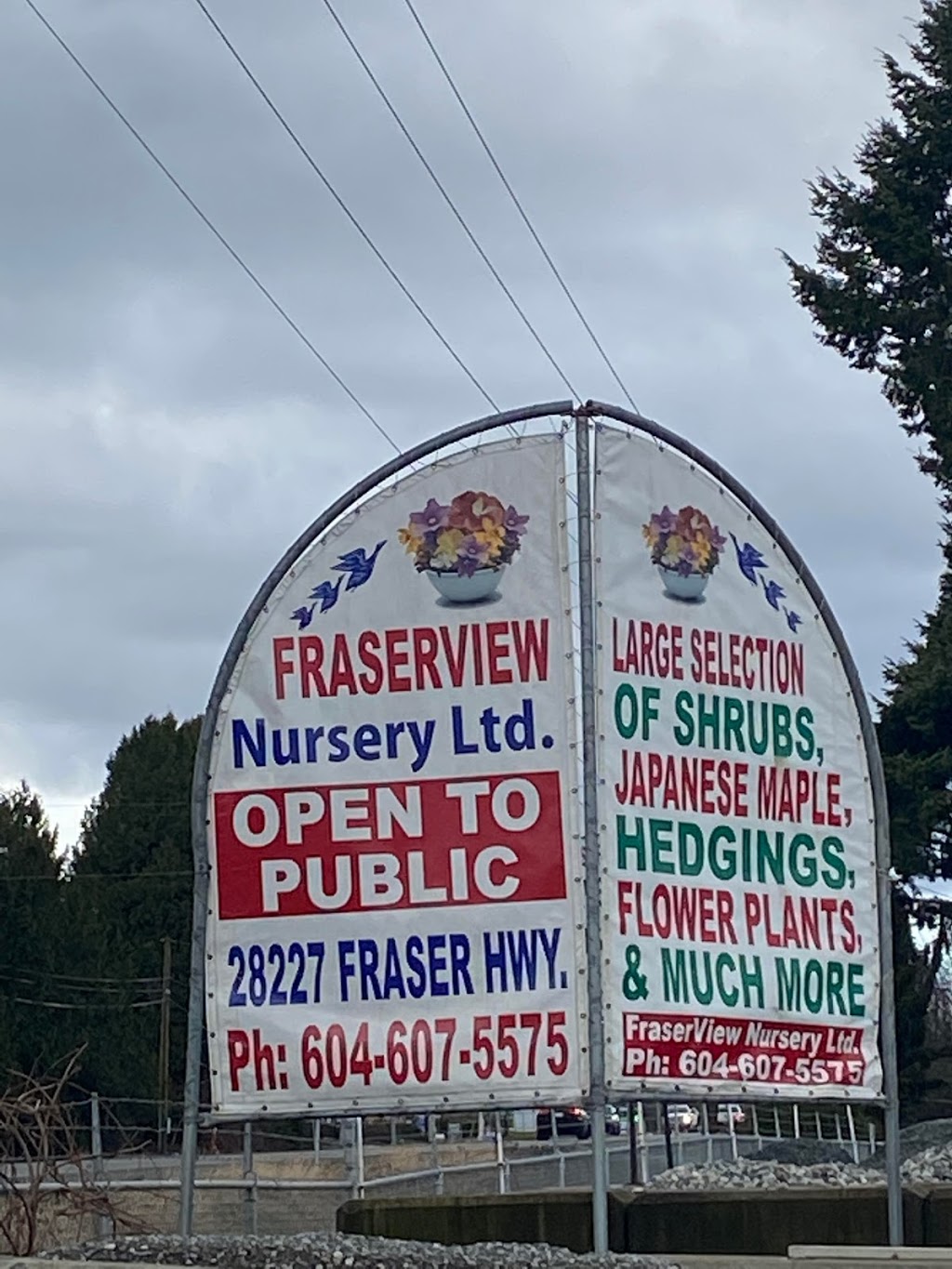 Fraserview Nursery | 28227 Fraser Hwy, Abbotsford, BC V4X 1K9, Canada | Phone: (604) 835-1965
