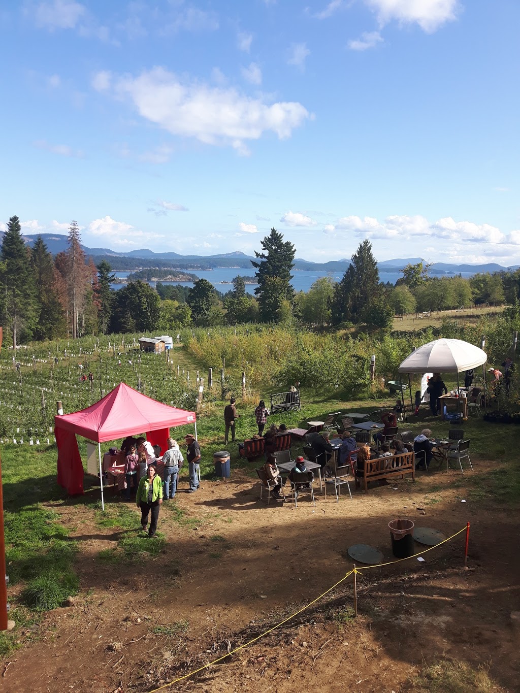 Salt Spring Apple Company | 529 Fulford-Ganges Rd, Salt Spring Island, BC V8K 2K1, Canada | Phone: (250) 538-2197