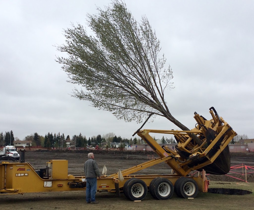 Spruce Hill Tree Movers Ltd | Township Rd 512, Sherwood Park, AB T8C 1H2, Canada | Phone: (780) 922-2030