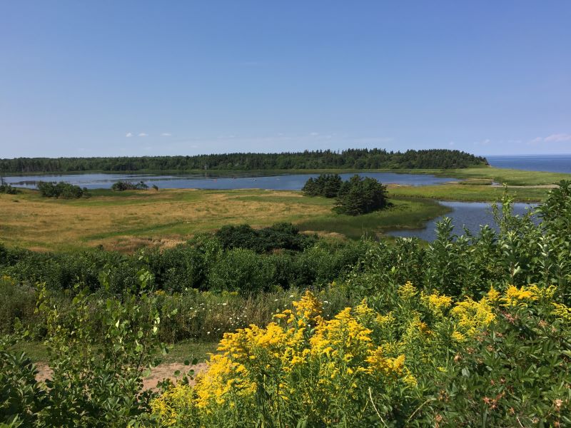 Oceanfront Seasonal RV Park | 64 Kennedy Ln, Merigomish, NS B0K 1G0, Canada | Phone: (902) 754-7733