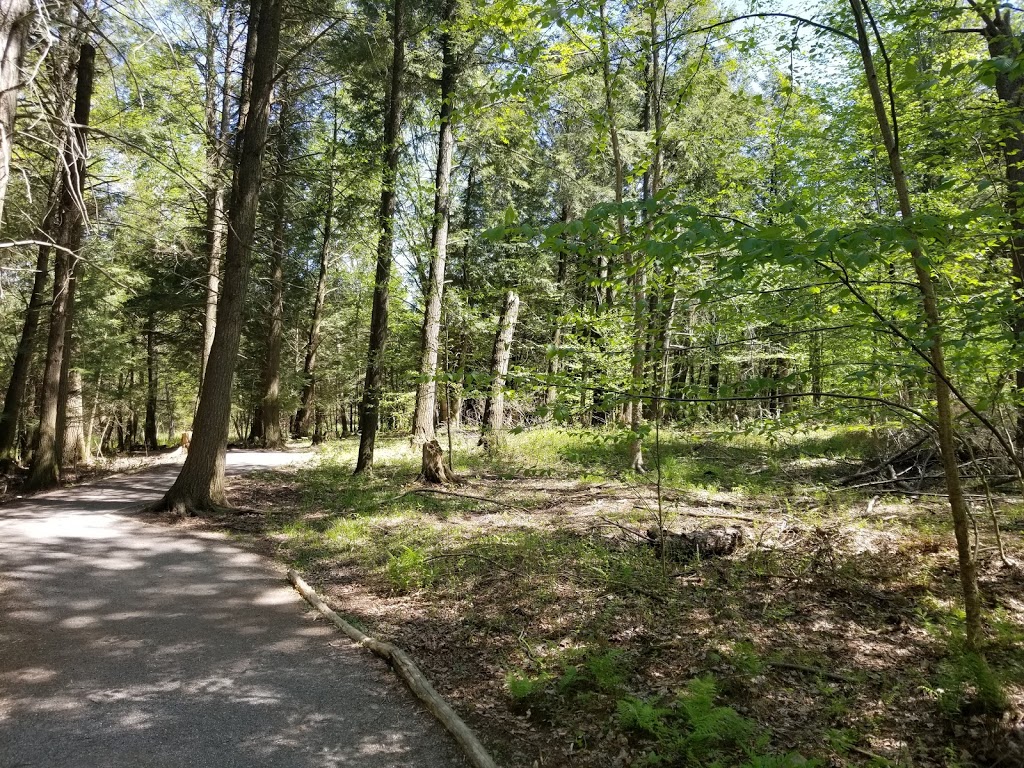 Centre dInterprétation de la Nature du Lac Boivin | 700 Rue Drummond, Granby, QC J2H 0K6, Canada | Phone: (450) 375-3861