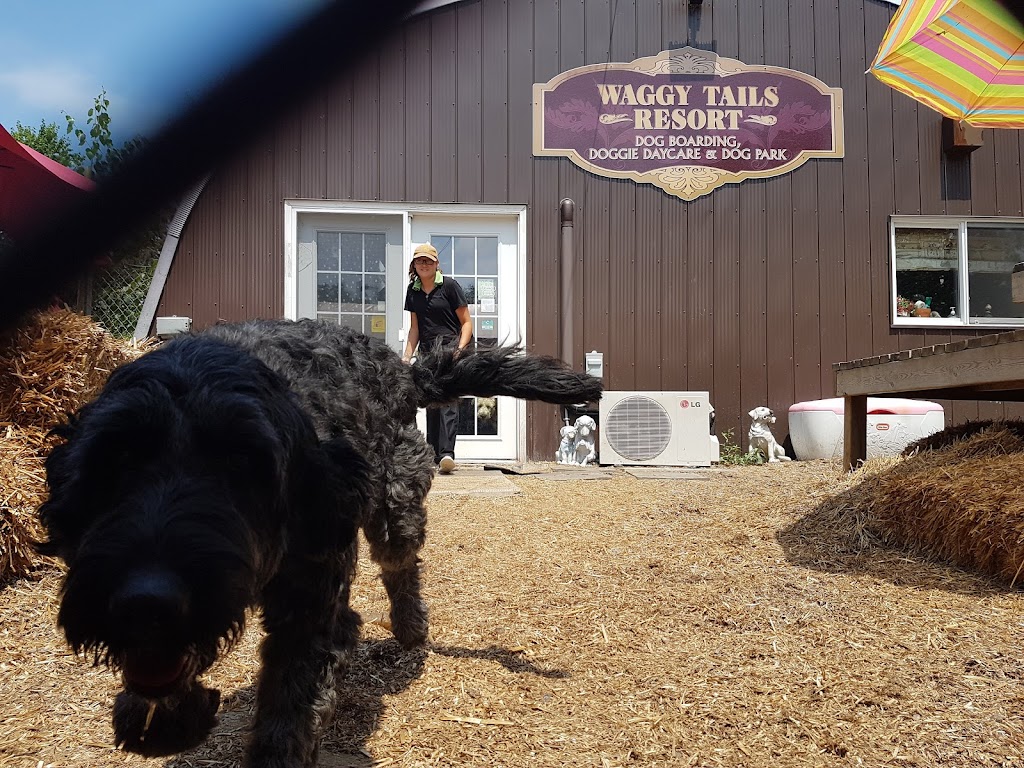 Waggy Tails Resort | 1134 Hwy 17 West, North Bay, ON P1B 8G5, Canada | Phone: (705) 474-5948