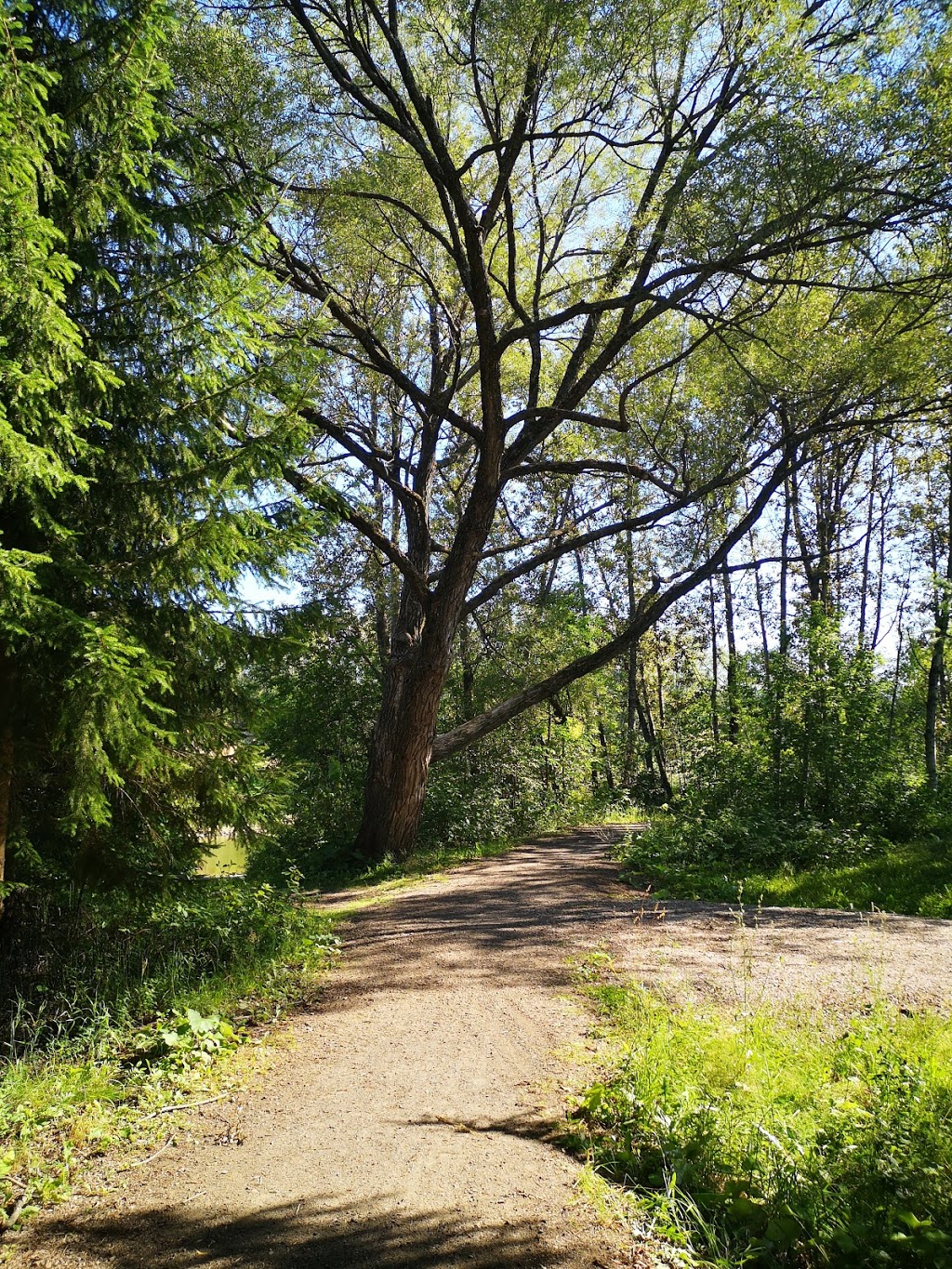 Parc du Gouffre | Baie-Saint-Paul, QC G3Z 2T1, Canada | Phone: (418) 435-2205