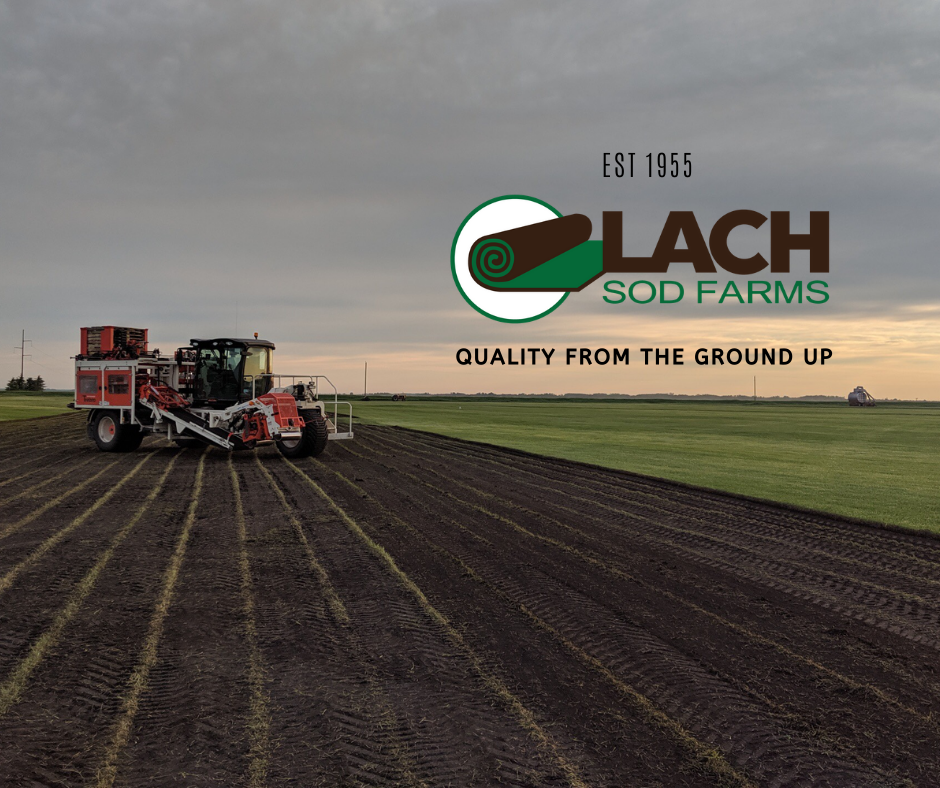 Lach Sod Farms | #84036 Rd 13E (corner of Road 84N & Road 13E), Balmoral, MB R0C 0H0, Canada | Phone: (855) 843-4222