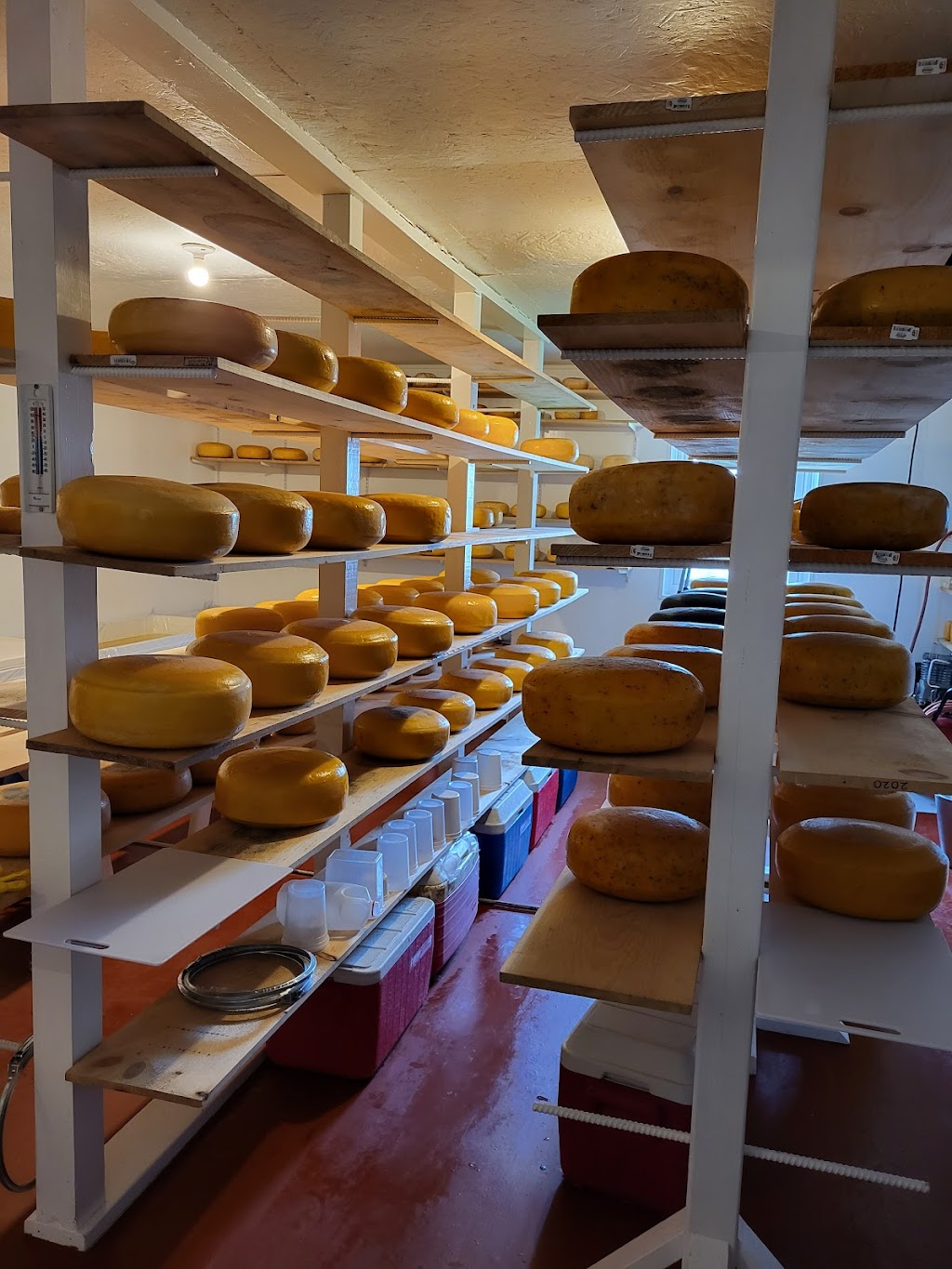 Armadale Farm Cheese Shoppe | 393 Roachville Rd, Roachville, NB E4G 2J9, Canada | Phone: (506) 433-6031