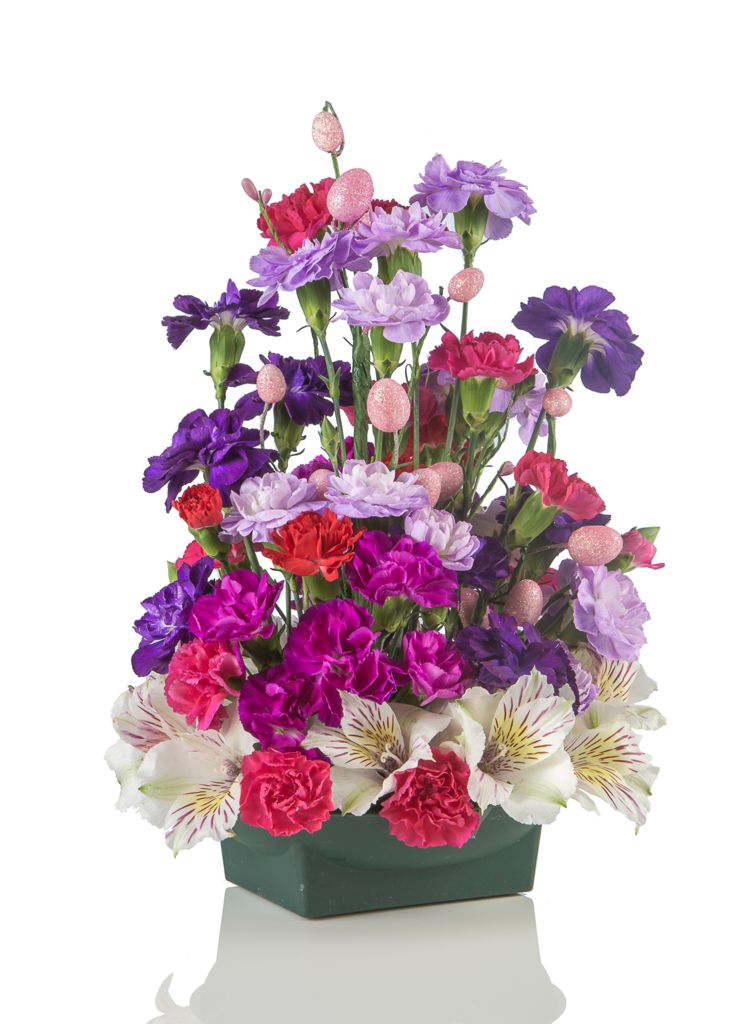 Blooms by Bloy Calgary Head Office | 145 Point Dr NW #1204, Calgary, AB T3B 4W1, Canada | Phone: (403) 819-1205