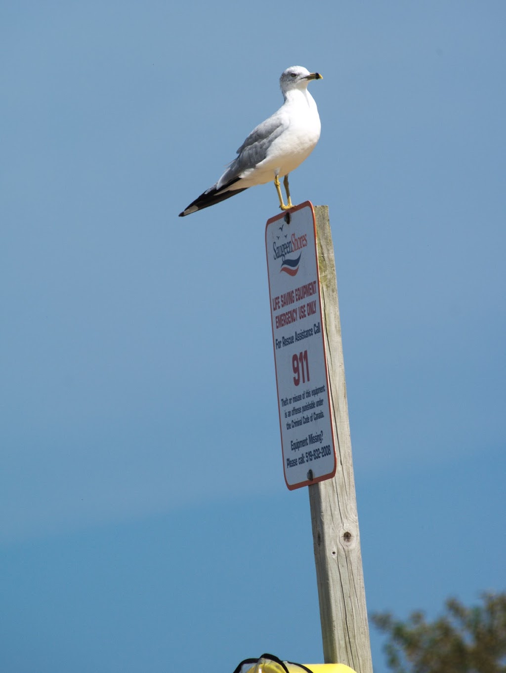 Saugeen Rail Trail | 2C3, Saugeen Rail Trail, Port Elgin, ON N0H 2C3, Canada | Phone: (201) 974-6735