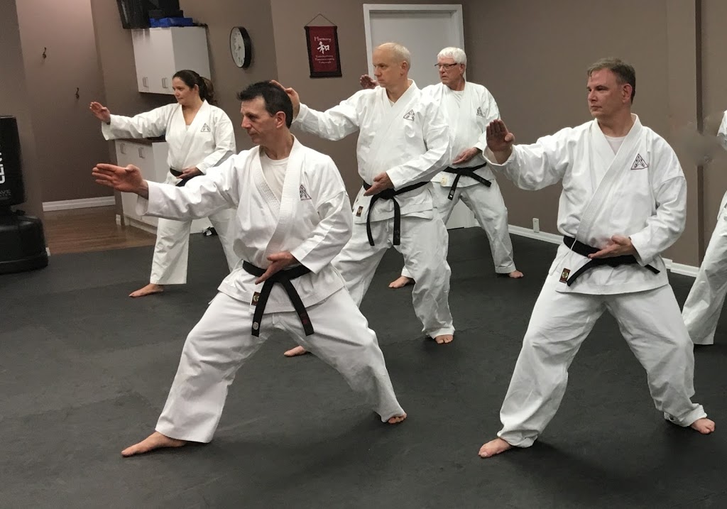 Daw Martial Arts & Fitness | 121 Hwy 20 E, Fonthill, ON L0S 1E0, Canada | Phone: (289) 821-3011