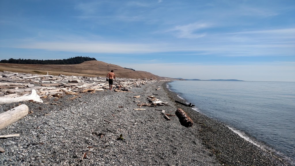 South Beach | Anacortes - Friday Harbor, Friday Harbor, WA 98250, USA