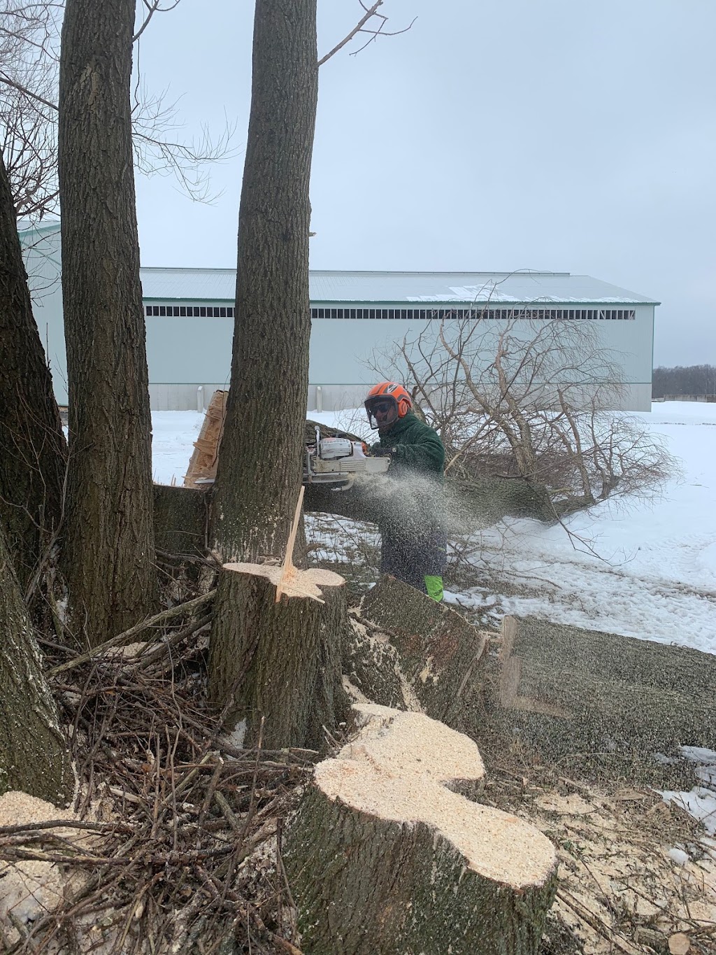 Tree Tech, Tree and Property Maintenance Specialists Inc. | 140 Clarke St, Mitchell, ON N0K 1N0, Canada | Phone: (519) 301-2058