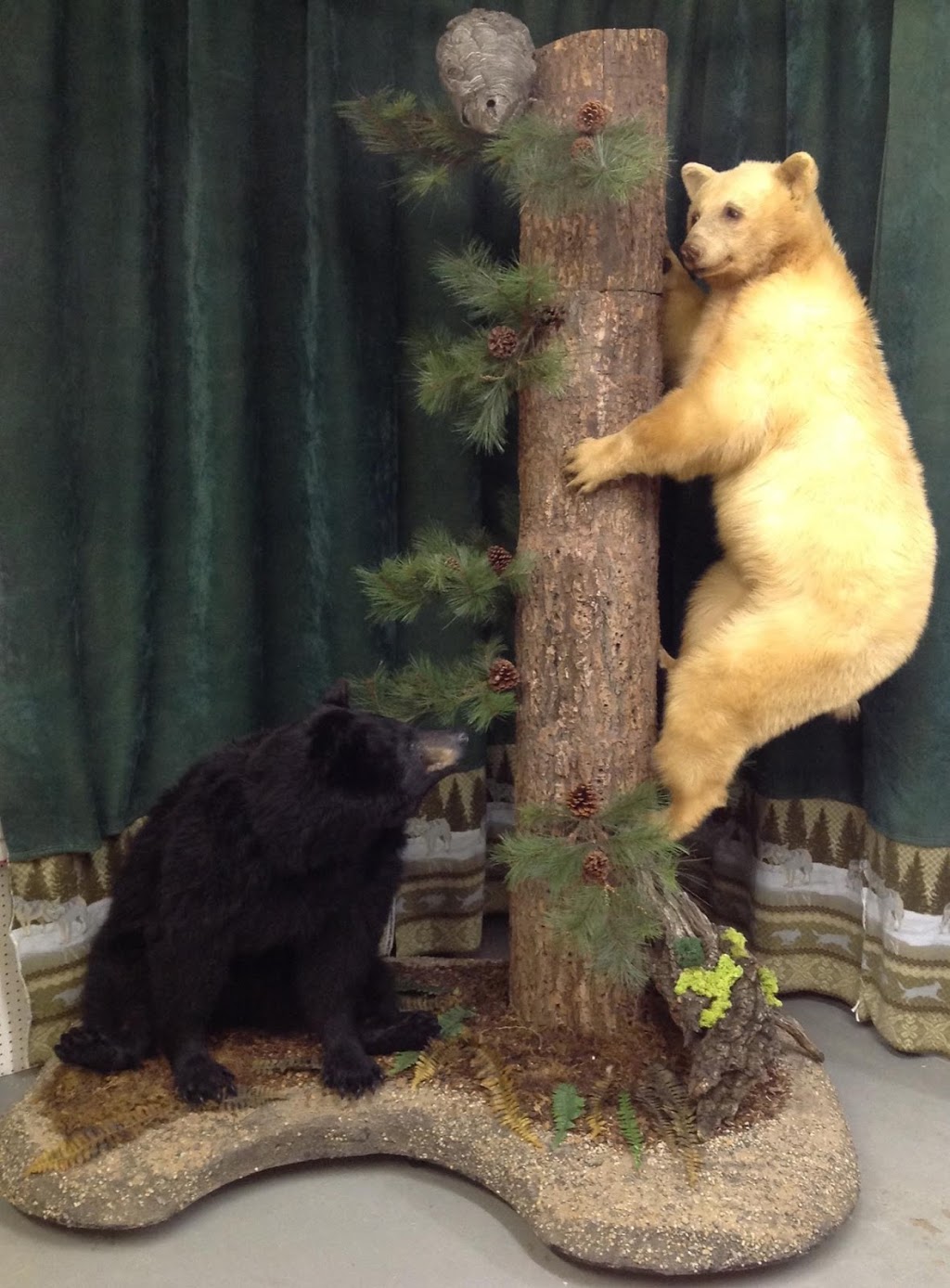 Free Spirit Taxidermy | 5112 50 St, Ponoka, AB T4J 1S3, Canada | Phone: (403) 934-8140