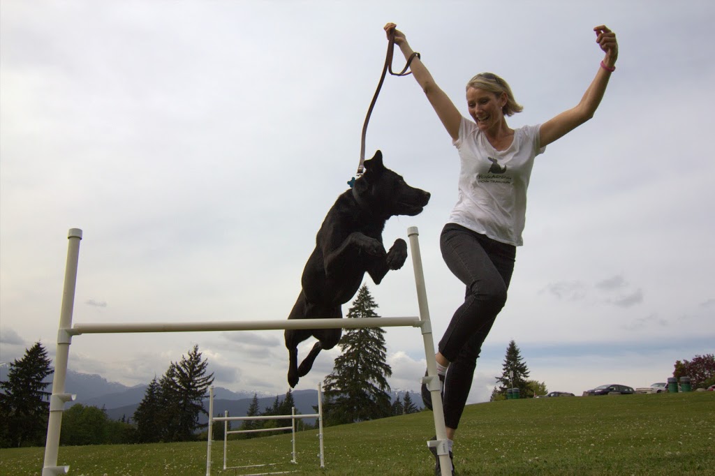 Yogadog Dog Training | 1125 Springer Ave, Burnaby, BC V5B 3L9, Canada | Phone: (604) 312-8754