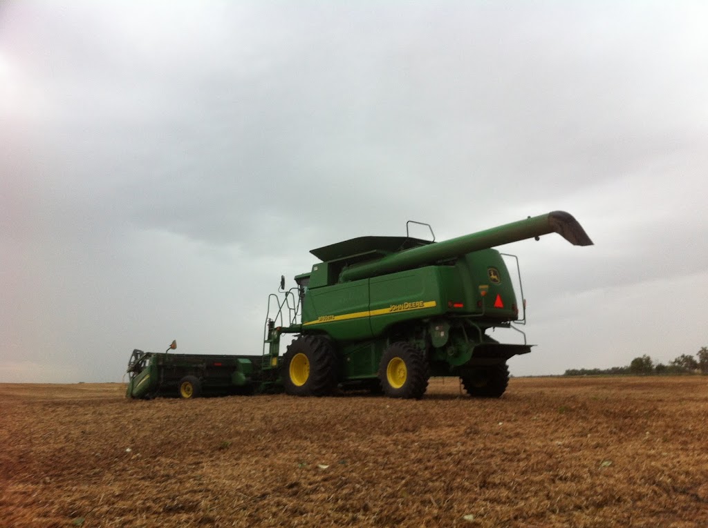 Allison Farms Harvesting | 22568 TWP 384, Delburne, AB T0M 0V0, Canada | Phone: (403) 585-2097