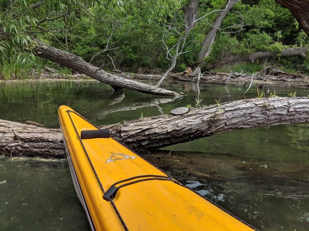 Arrowhead Beach Park | Kingston, ON K7K 5G2, Canada