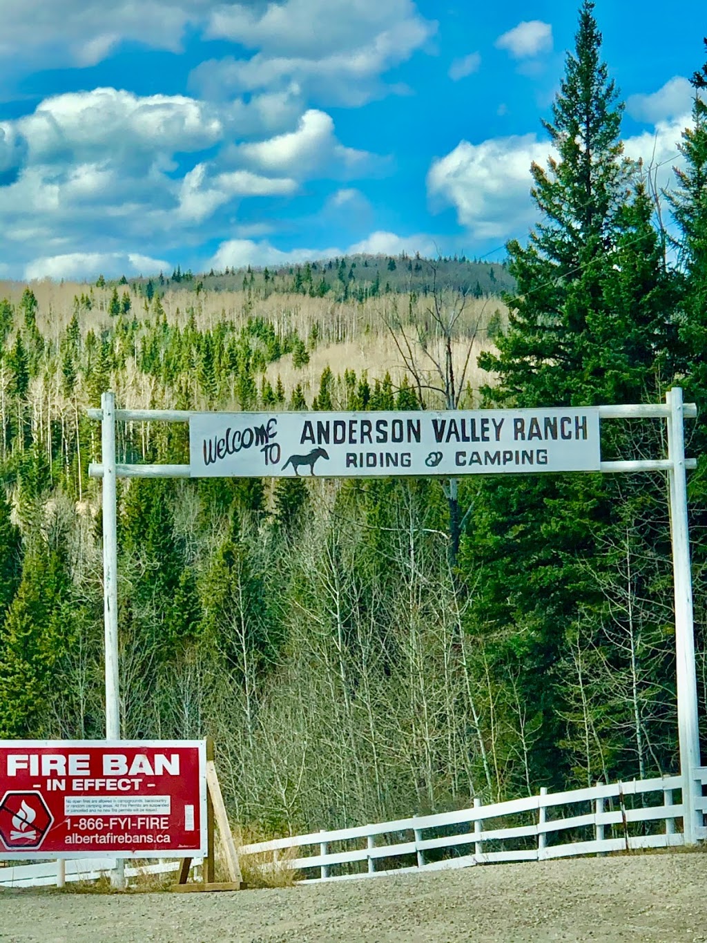 Anderson Valley Ranch Riding & Camping | Water Valley, AB T0M 2E0, Canada | Phone: (403) 637-3737