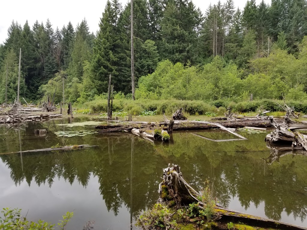 Westwood Lake Park | 381 Westwood Rd, Nanaimo, BC V9R 7C1, Canada | Phone: (250) 756-5200