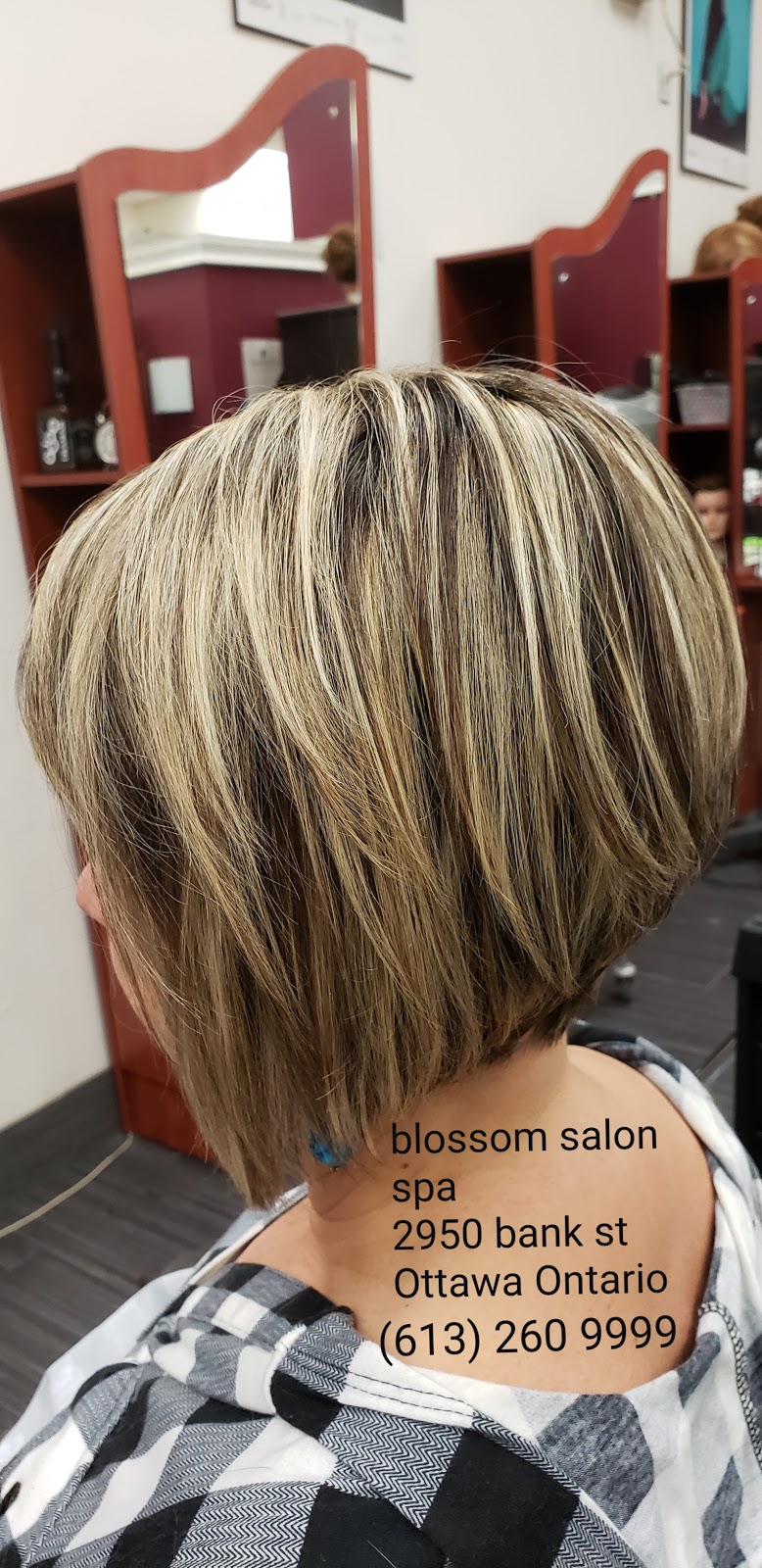 Blossom Salon Spa | 2950 Bank St, Gloucester, ON K1T 1N8, Canada | Phone: (613) 260-9999