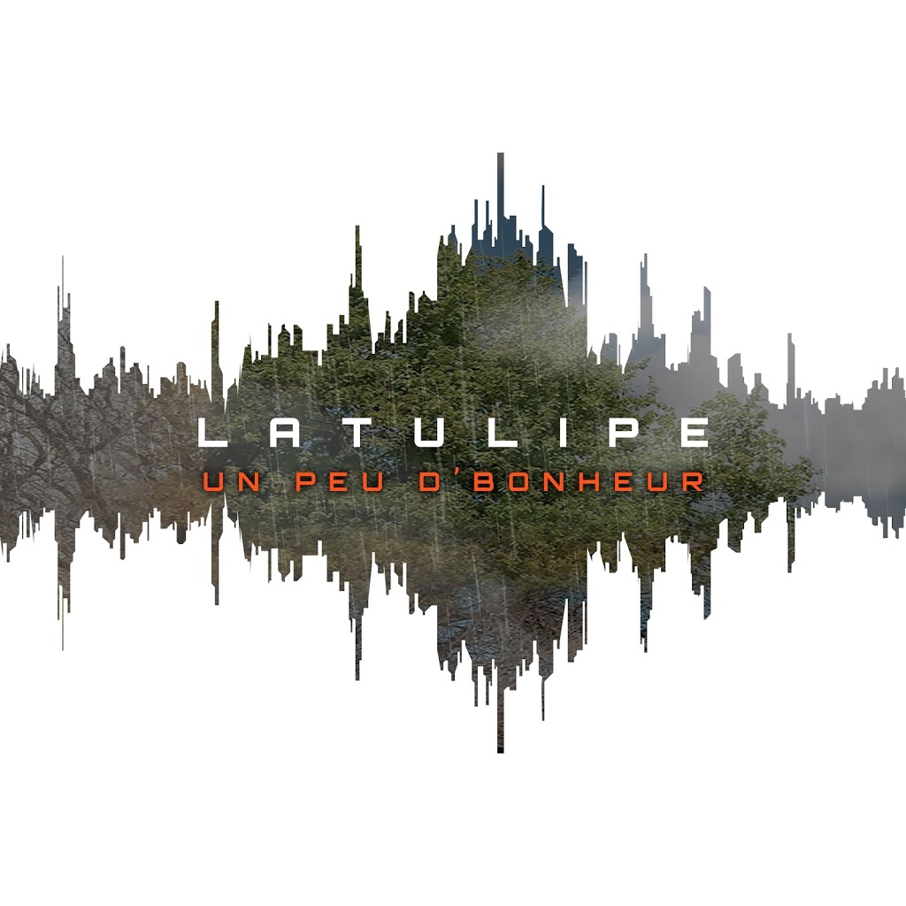 Latulipe Musique | 995 Rue de Charente, Québec, QC G1G 2W6, Canada