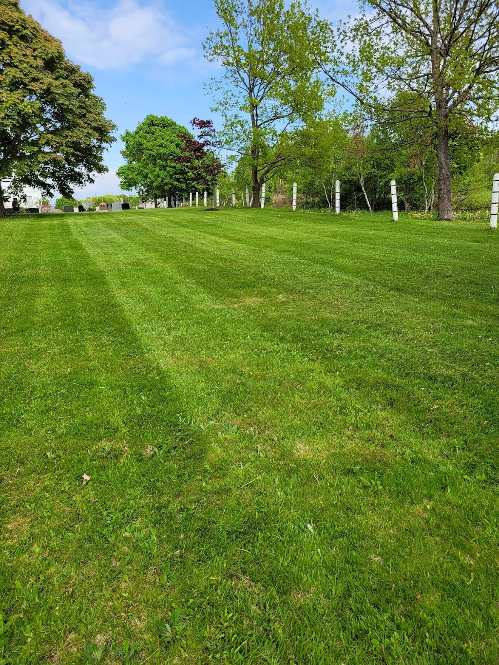 Efficient Lawn care | 181 Watts Rd, York, PE C0A 1P0, Canada | Phone: (782) 377-1039