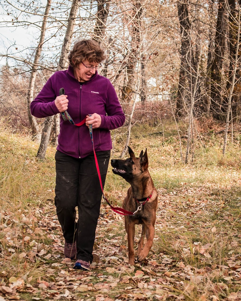 Fionavar K9 Training | Mountain View County, AB T0M 0K0, Canada | Phone: (403) 507-9832