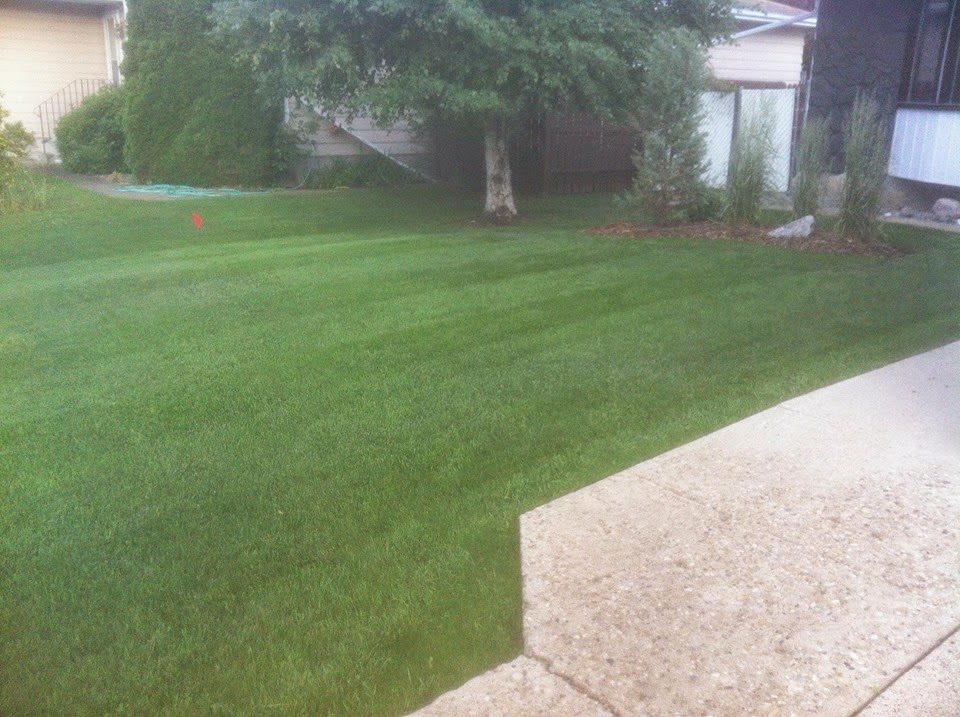 Scotts Quality Lawn Care | 5234 46 St, Camrose, AB T4V 1H3, Canada | Phone: (780) 678-6450