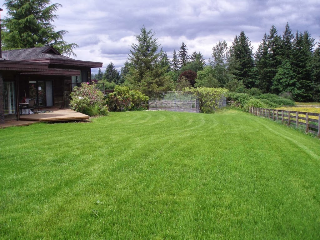 Wallpro Landscaping | 9055 Gay St, Langley City, BC V1M 3T1, Canada | Phone: (604) 866-5426