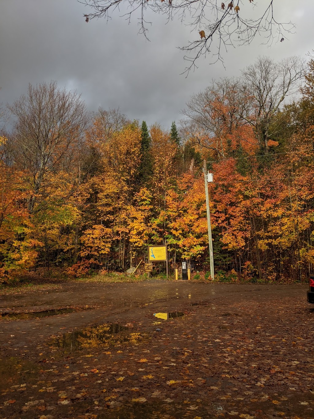 Oxtongue River - Ragged Falls Provincial Park | 1050 Oxtongue Lake Rd, Dwight, ON P0A 1H0, Canada | Phone: (705) 789-5105