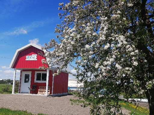 Ferme ViGo | 12 6e Rang, St-ONÉSIME, QC G0R 3W0, Canada | Phone: (418) 856-2082