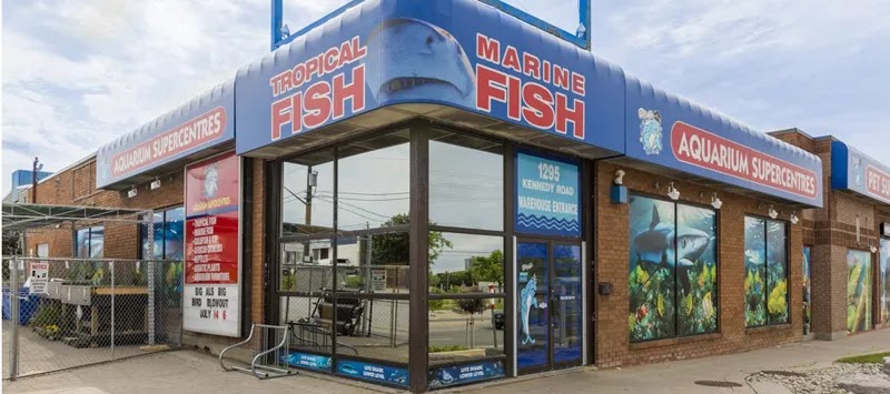 Big Als Aquarium & Pet Supercentres - Scarborough | 1295 Kennedy Rd, Scarborough, ON M1P 2L4, Canada | Phone: (416) 757-3281