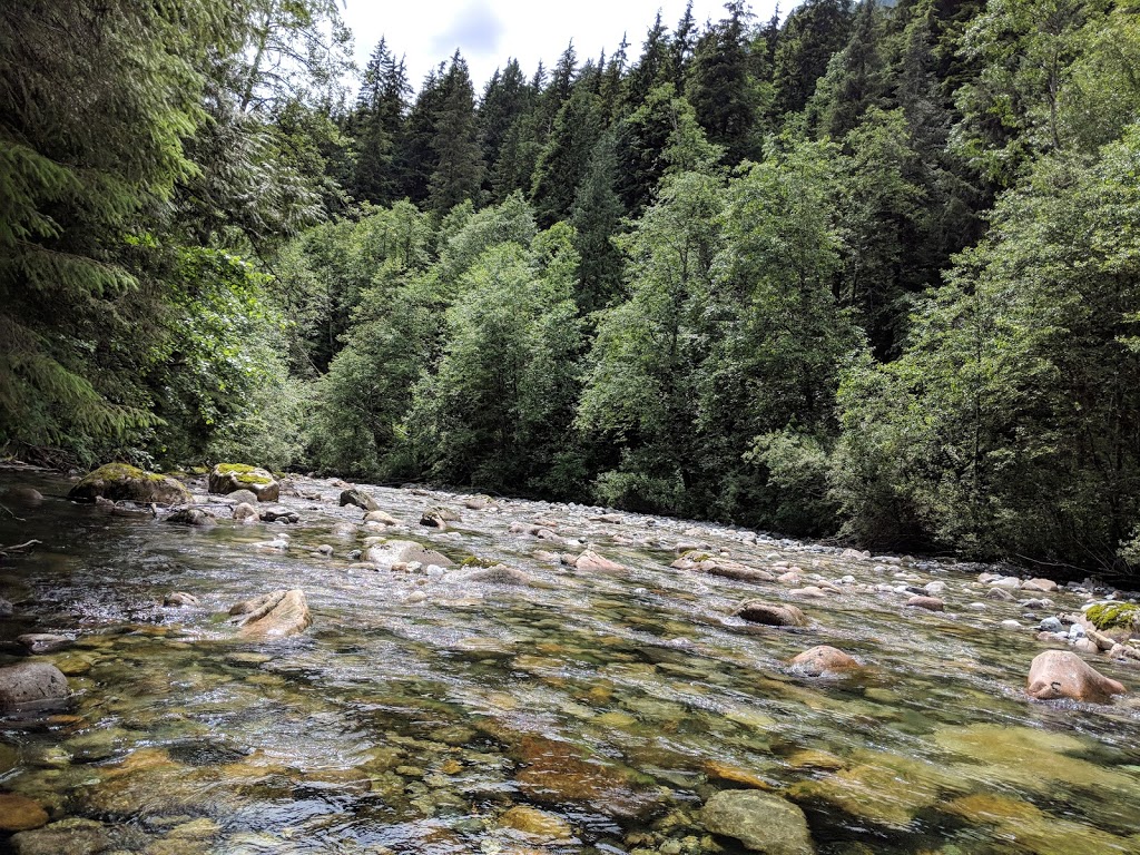 Cedar Mills Trail | Cedar Mills Trail, North Vancouver, BC V7K 3B2, Canada