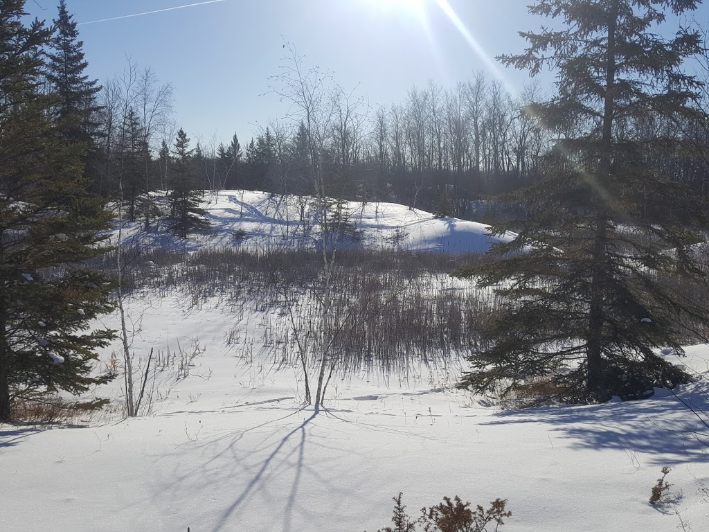 Nimowin Self-Guiding Trail | Nimowin Rd, Oakbank, MB R0E 1J0, Canada | Phone: (866) 626-4862