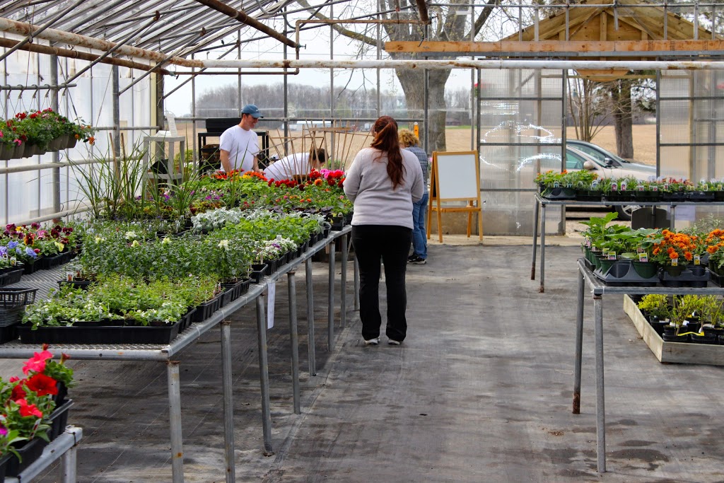 Prince Greenhouses | 687003 Oxford 2, Princeton, ON N0J 1V0, Canada | Phone: (226) 802-4519
