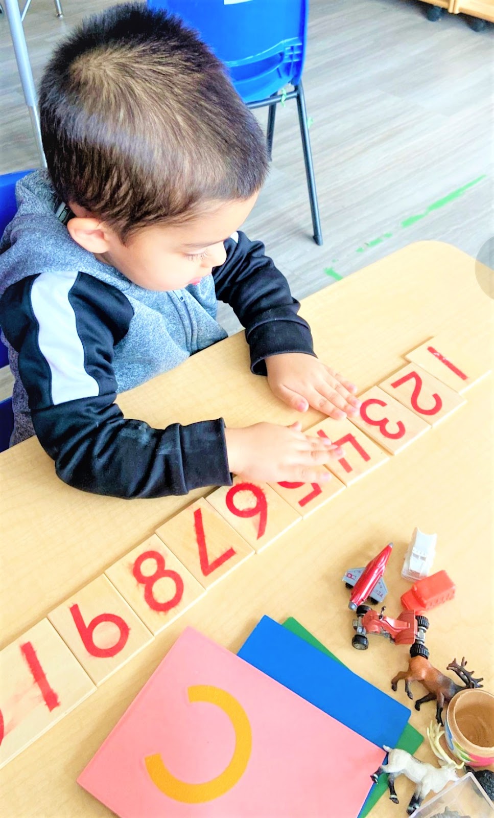 Cambridge Leaf Montessori School | 3875 McNicoll Ave, Scarborough, ON M1V 5B3, Canada | Phone: (416) 731-7075