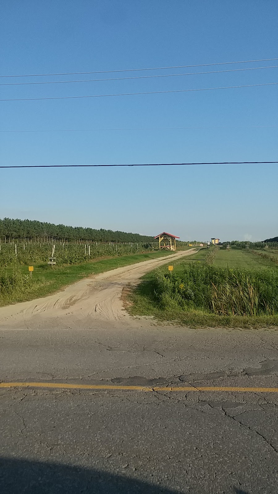 Ferme Bourdelais | 250 Rang Point-du-Jour S, Lavaltrie, QC J5T 3P4, Canada | Phone: (450) 586-2036